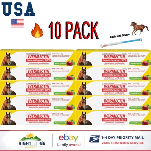 Pack apple flavor - 10,